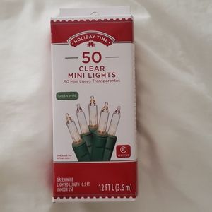 Stringed clear lights (NWT)